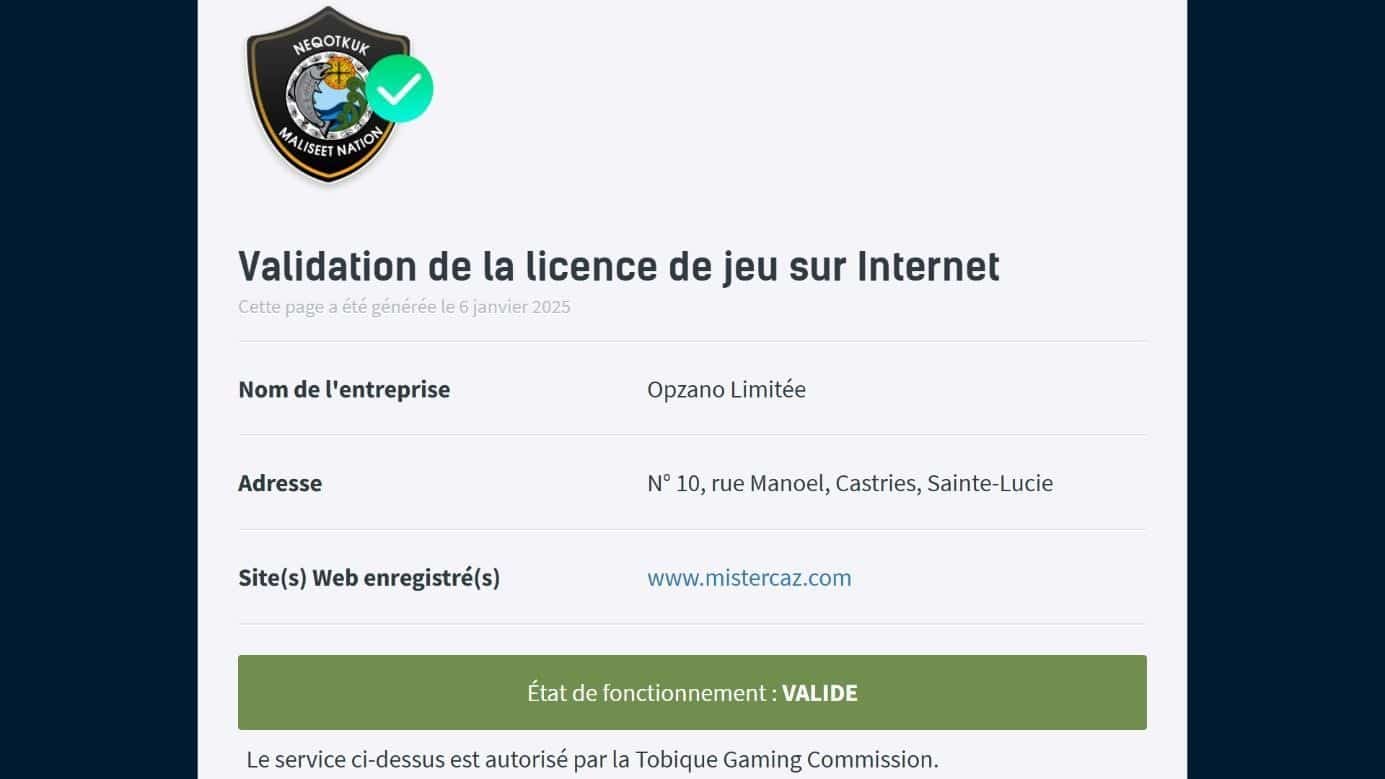 licence tobique opzano limitee
